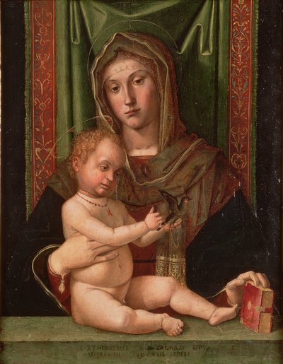 Madonna und Kind von Bartolomeo Montagna